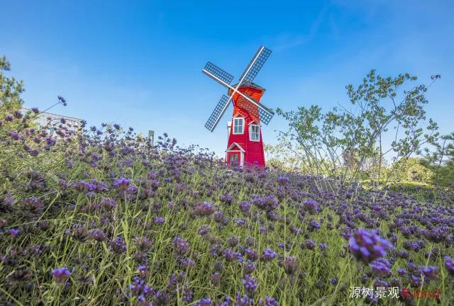 地鐵上蓋公園——京投發展悅府公園景觀改造提升