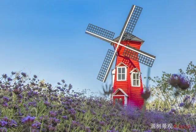 地鐵上蓋公園——京投發展悅府公園景觀改造提升