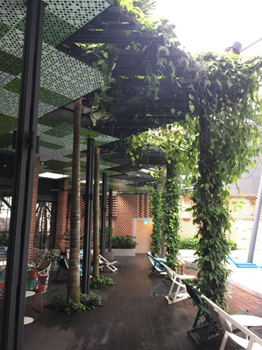 2017新加坡景觀專業考察——領略獅城綠色景觀