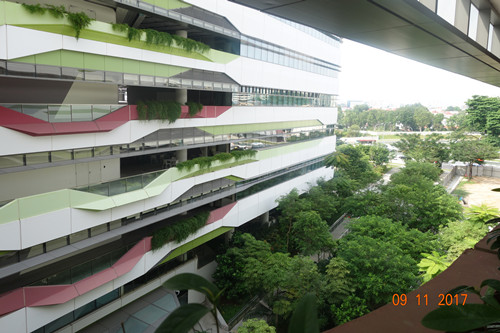 2017新加坡景觀專業(yè)考察——領(lǐng)略獅城綠色景觀