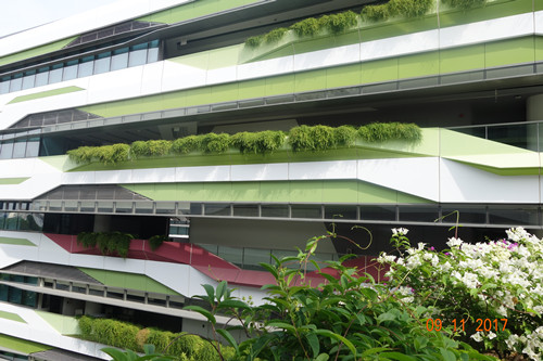 2017新加坡景觀專業(yè)考察——領(lǐng)略獅城綠色景觀