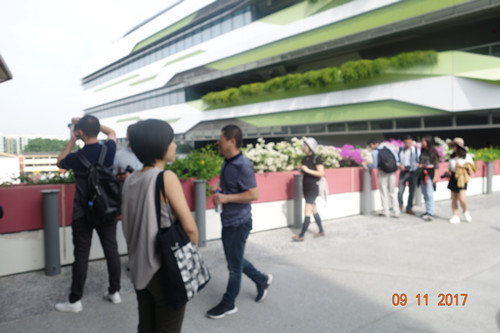 2017新加坡景觀專業(yè)考察——領(lǐng)略獅城綠色景觀