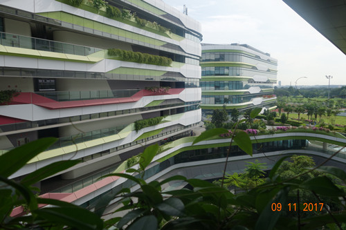 2017新加坡景觀專業(yè)考察——領(lǐng)略獅城綠色景觀