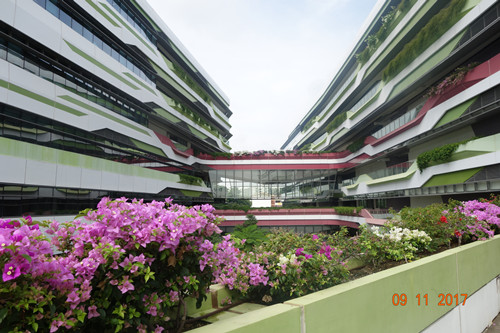 2017新加坡景觀專業(yè)考察——領(lǐng)略獅城綠色景觀