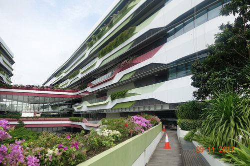 2017新加坡景觀專業(yè)考察——領(lǐng)略獅城綠色景觀