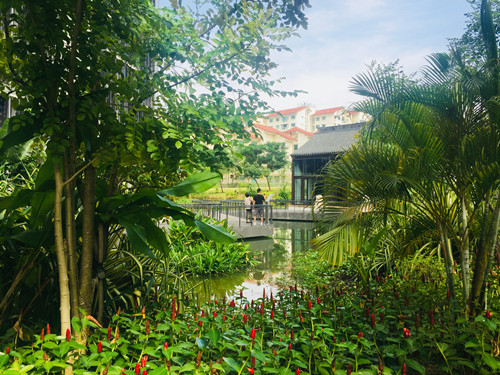 2017新加坡景觀專業(yè)考察——領(lǐng)略獅城綠色景觀