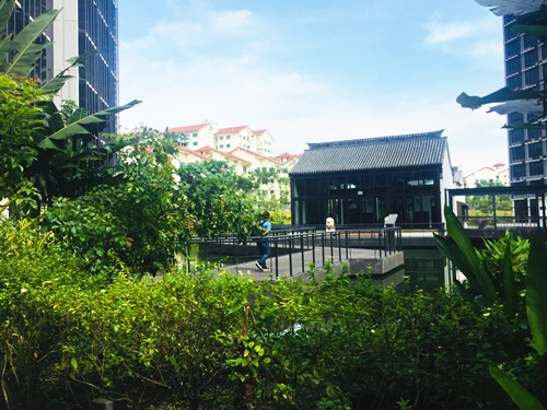 2017新加坡景觀專業(yè)考察——領(lǐng)略獅城綠色景觀