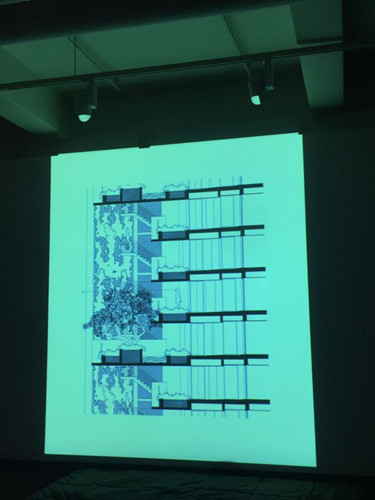 2017新加坡景觀專業考察——領略獅城綠色景觀