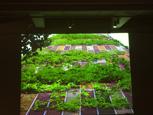 2017新加坡景觀專業考察——領略獅城綠色景觀