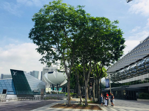 2017新加坡景觀考察——感受花園中的城市