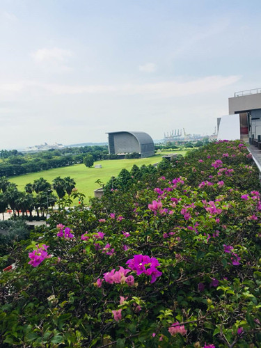 2017新加坡景觀考察——感受花園中的城市