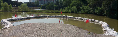 園冶杯專業獎：青山區倒口湖公園景觀設計