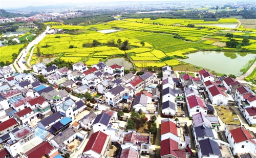 城市群該如何規(guī)劃建設(shè) 突出城市群主體地位
