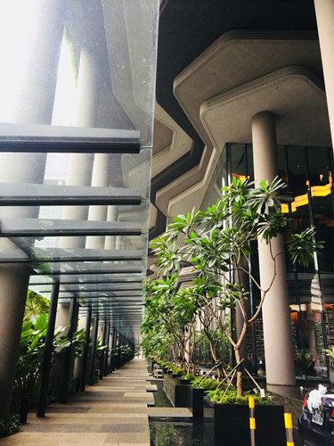 2017新加坡景觀考察——與知名設(shè)計(jì)機(jī)構(gòu)交流