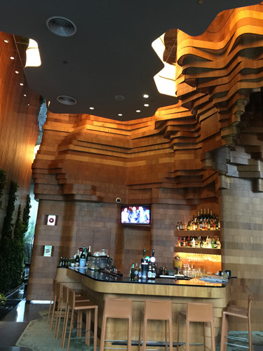 2017新加坡景觀考察——與知名設(shè)計(jì)機(jī)構(gòu)交流