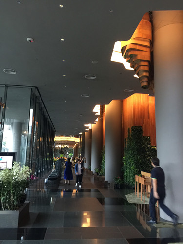 2017新加坡景觀考察——與知名設(shè)計(jì)機(jī)構(gòu)交流