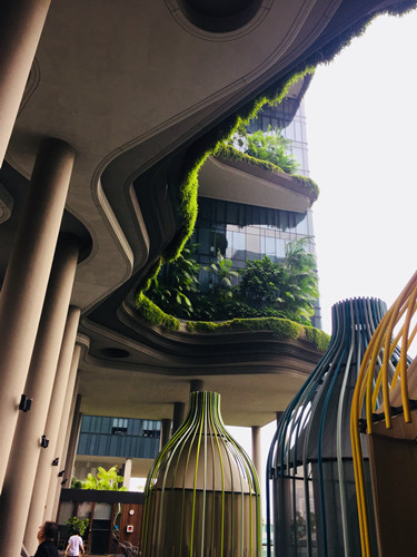 2017新加坡景觀考察——與知名設(shè)計(jì)機(jī)構(gòu)交流