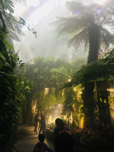 2017新加坡景觀考察——與知名設計機構交流