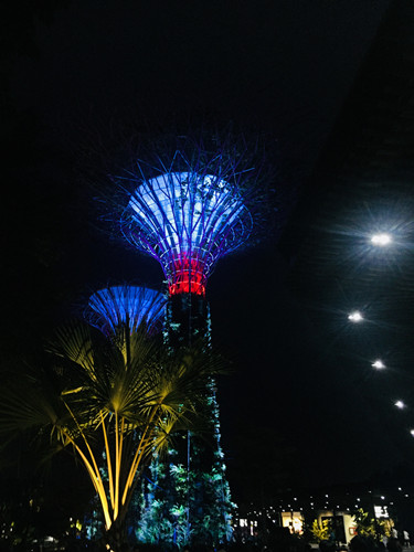 2017新加坡景觀考察——與知名設計機構交流