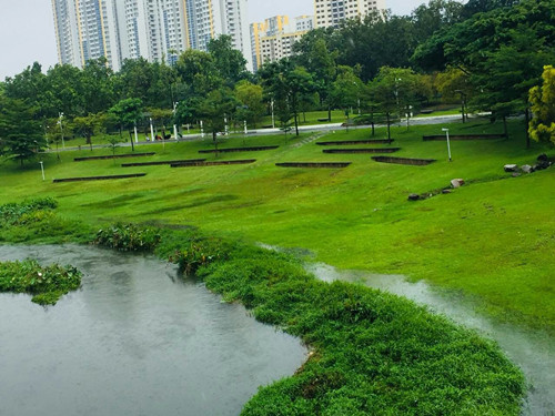 2017新加坡景觀考察——富想象力的城市景觀