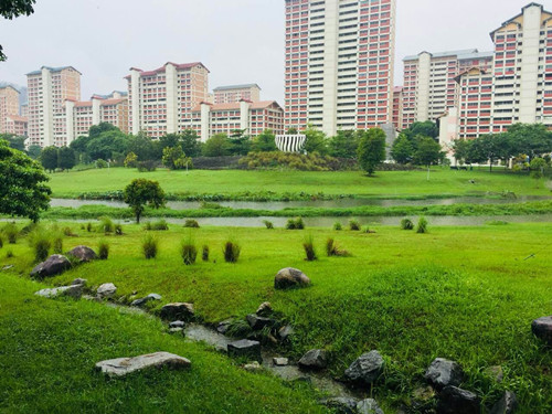 2017新加坡景觀考察——富想象力的城市景觀