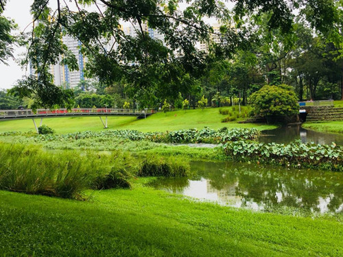 2017新加坡景觀考察——富想象力的城市景觀