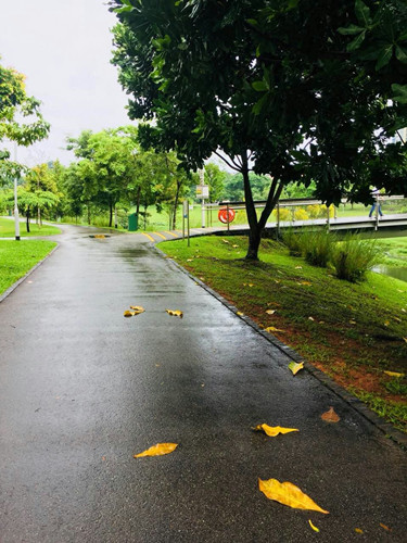 2017新加坡景觀考察——富想象力的城市景觀