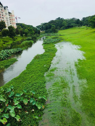 2017新加坡景觀考察——富想象力的城市景觀