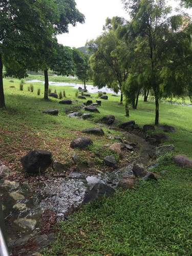 2017新加坡景觀考察——富想象力的城市景觀