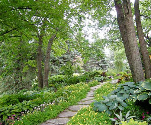 美國明尼蘇達耐陰花園設計