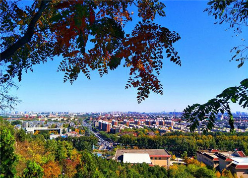 國家森林城市建設(shè)樹種選擇將影響生態(tài)效果