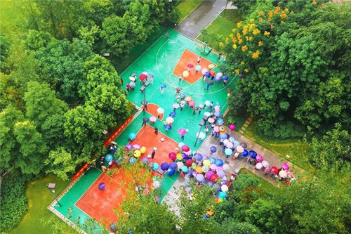 國家森林城市建設(shè)樹種選擇將影響生態(tài)效果