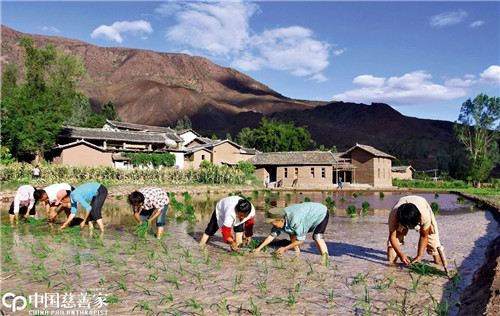 萬麗:一個“草帽建筑師”的選擇