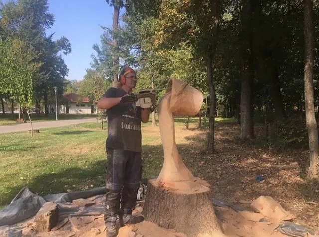 國外“電鋸大師”見到樹木就去鋸幾刀