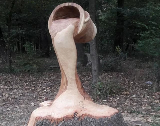 國外“電鋸大師”見到樹木就去鋸幾刀