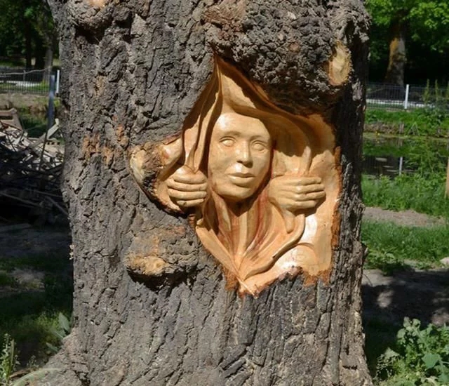 國外“電鋸大師”見到樹木就去鋸幾刀