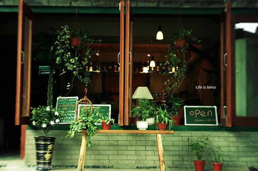 花藝師原來是這樣澆水的,怪不得養那么好!