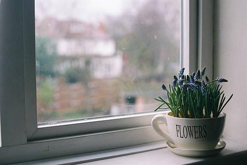 花藝師原來是這樣澆水的,怪不得養那么好!