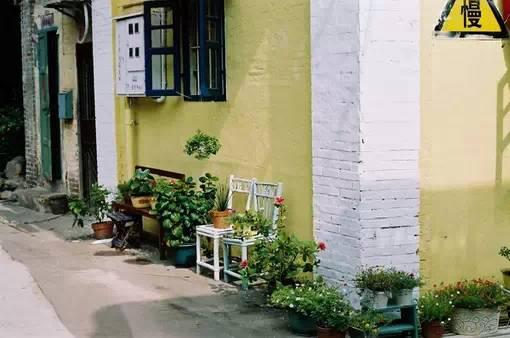 花藝師原來是這樣澆水的,怪不得養那么好!