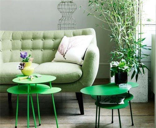 家居花藝風水你留意了嗎