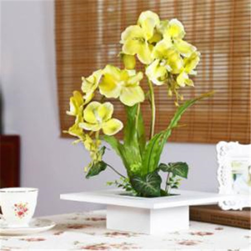 家居花藝風水你留意了嗎