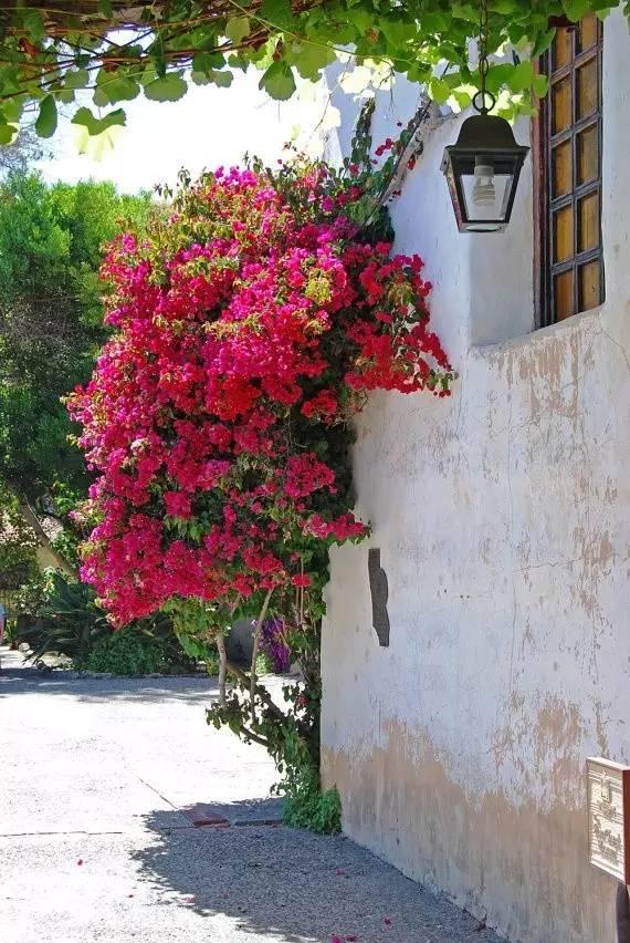 別小看農(nóng)村，庭院打扮起來比別墅還美