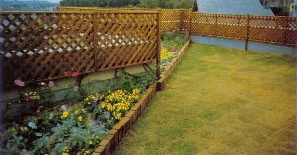 別小看農(nóng)村，庭院打扮起來比別墅還美