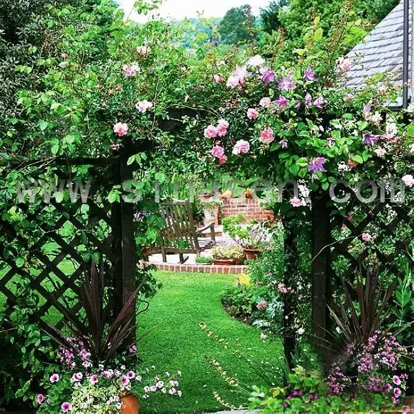 別小看農(nóng)村，庭院打扮起來比別墅還美