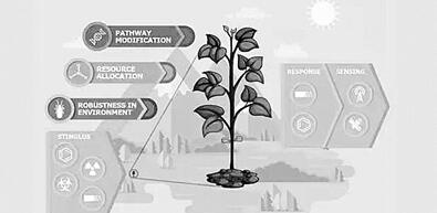 美“先進植物計劃”擬培養“無聲哨兵”
