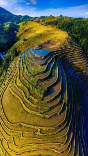 龍脊梯田入選全球重要農業文化遺產