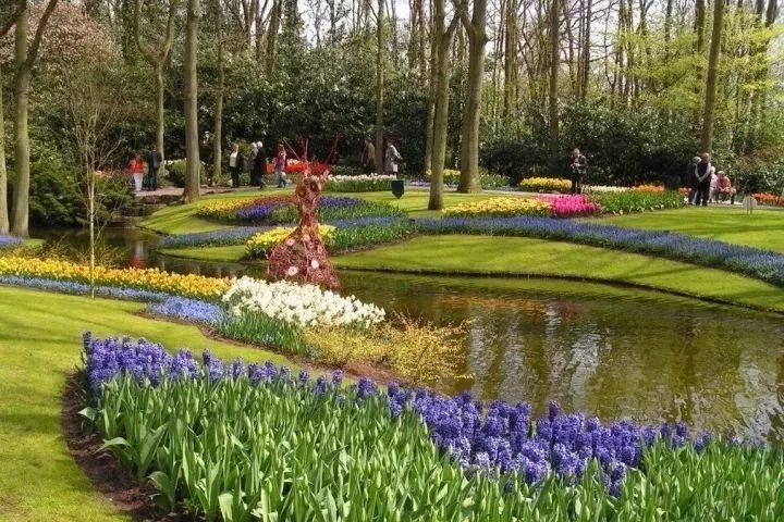 景觀植物——球根花卉種植搭配攻略