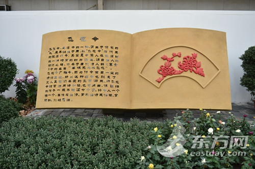 “菊字飛花令”亮相上海菊花展