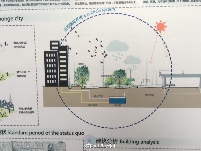 高校雙創人才匯聚為海綿城市設計點贊