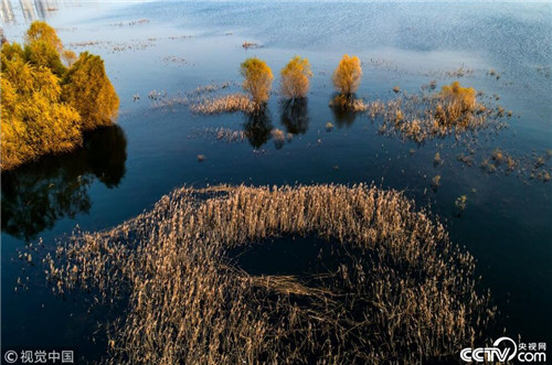 航拍白龜湖國家濕地公園美如畫